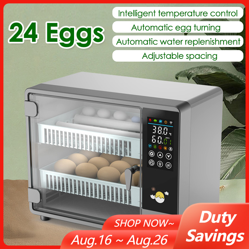 Quail Egg Incubator - Incubateur d'œufs à rotation automatique de
