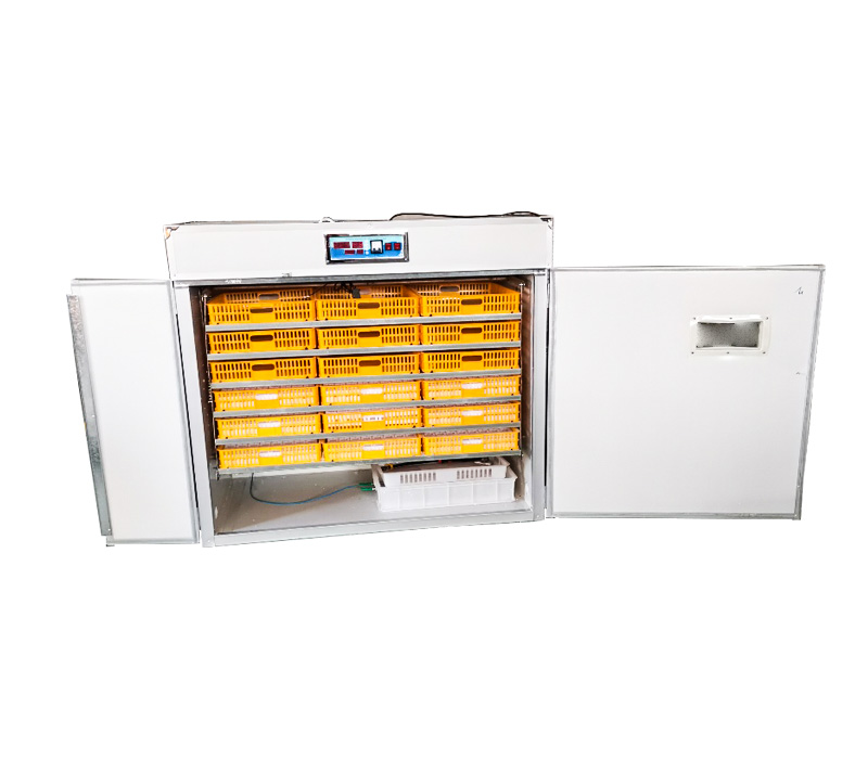 Quail Egg Incubator - Contrôleur pour incubateur d'œufs entièrement automatique