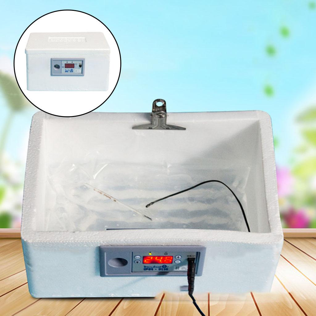 Quail Egg Incubator - Incubateur automatique d'œufs à lit d'eau,