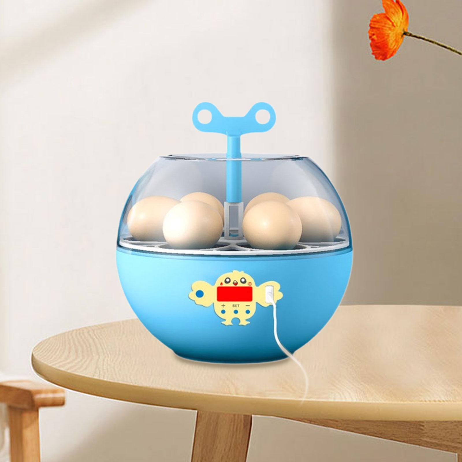 Quail Egg Incubator - Incubateur à 6 œufs, mini incubateur