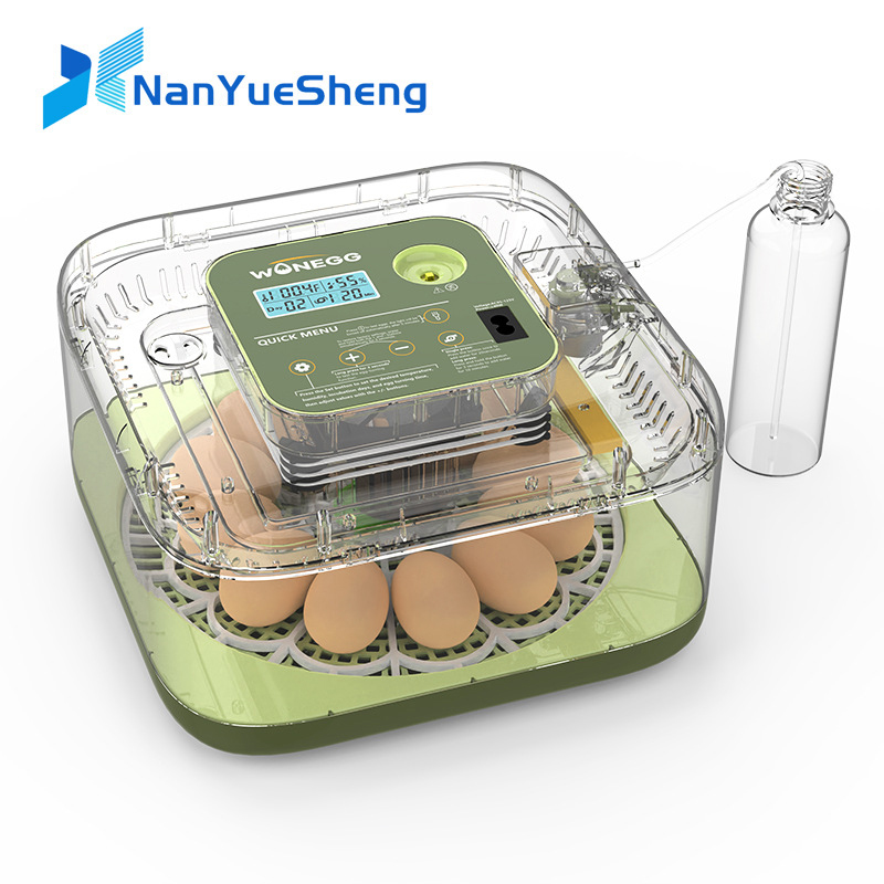 Quail Egg Incubator - Nouveau 12 oeufs de poussin couveuse