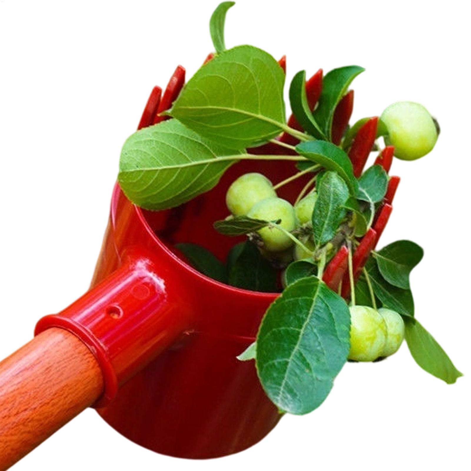 Agriculture Farming Tool - Cueilleur de baies portable pour la