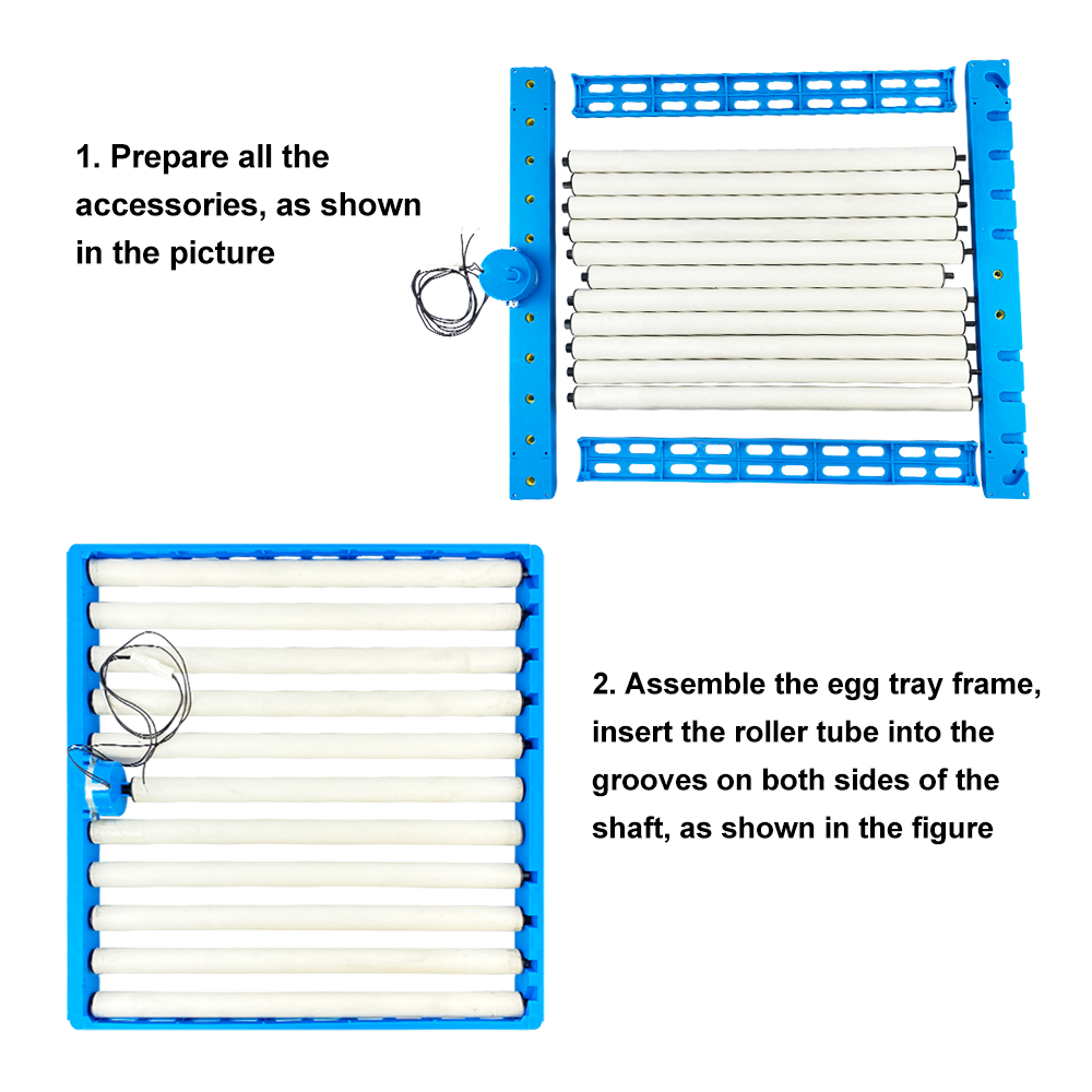 Tourneur d'œufs rotatif automa - Quail Egg Incubator avis et prix