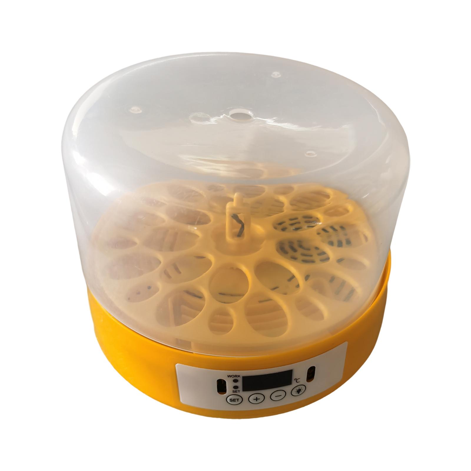 Incubateur d'œufs, retourneur  - Quail Egg Incubator avis et prix