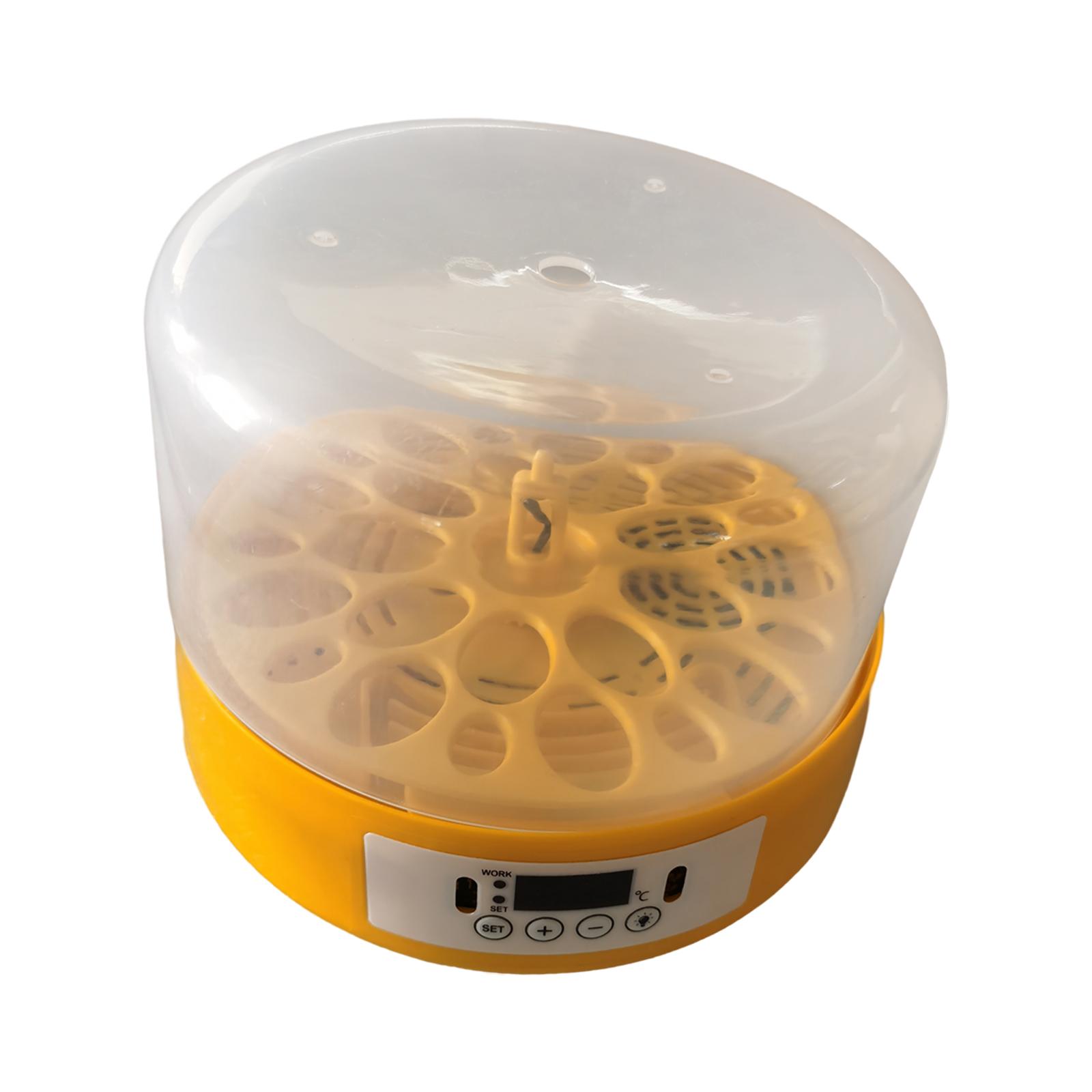 Incubateur d'œufs, retourneur  - Quail Egg Incubator avis et prix
