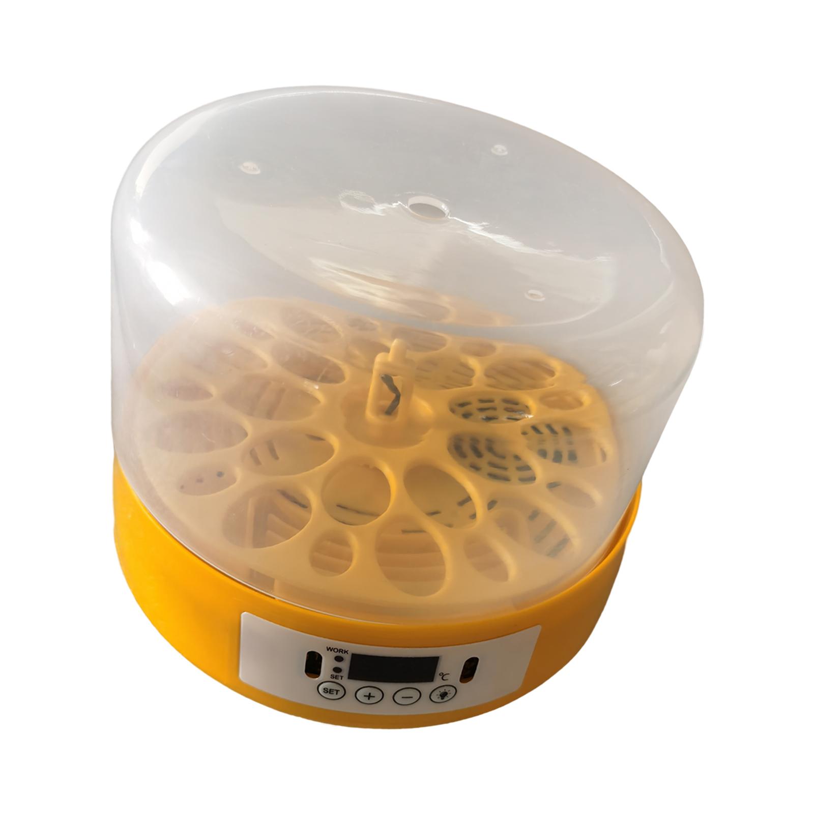Incubateur d'œufs, retourneur  - Quail Egg Incubator avis et prix