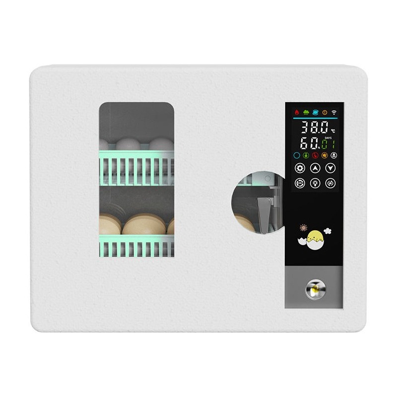 Incubateur d'œufs entièrement  - Quail Egg Incubator avis et prix