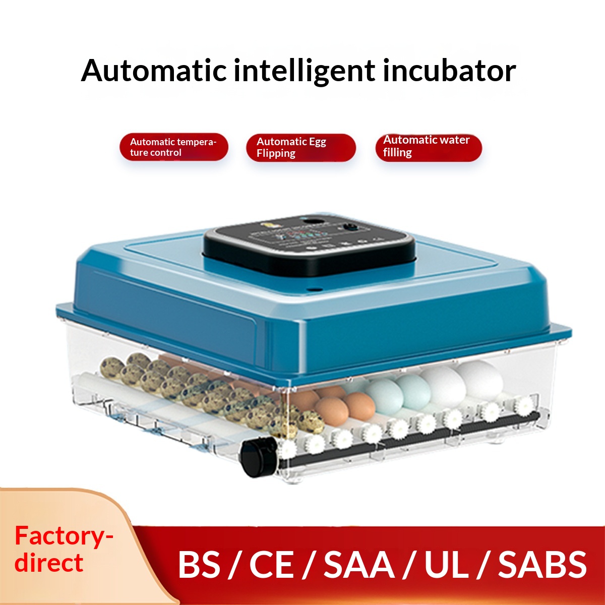 Incubateur d'œufs rectangulair - Quail Egg Incubator avis et prix