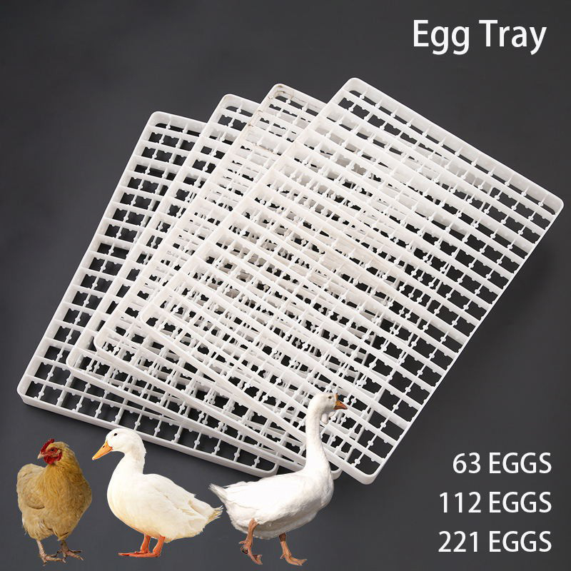 Incubateur automatique pour vo - Quail Egg Incubator avis et prix