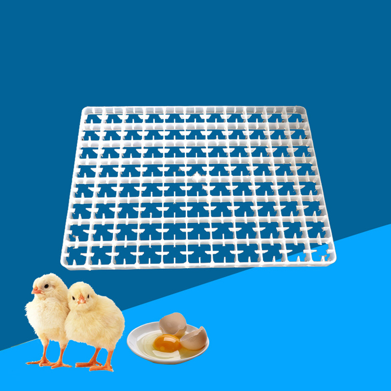 Incubateur automatique pour vo - Quail Egg Incubator avis et prix
