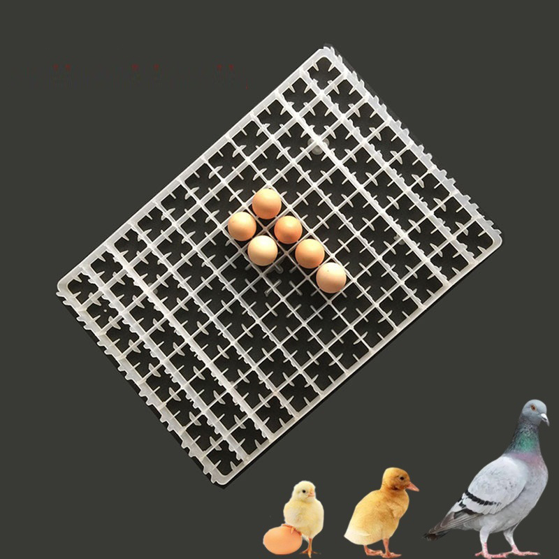 Incubateur automatique pour vo - Quail Egg Incubator avis et prix