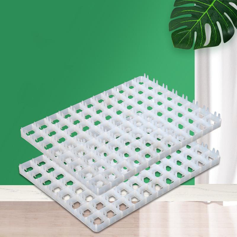 Incubateur automatique pour vo - Quail Egg Incubator avis et prix