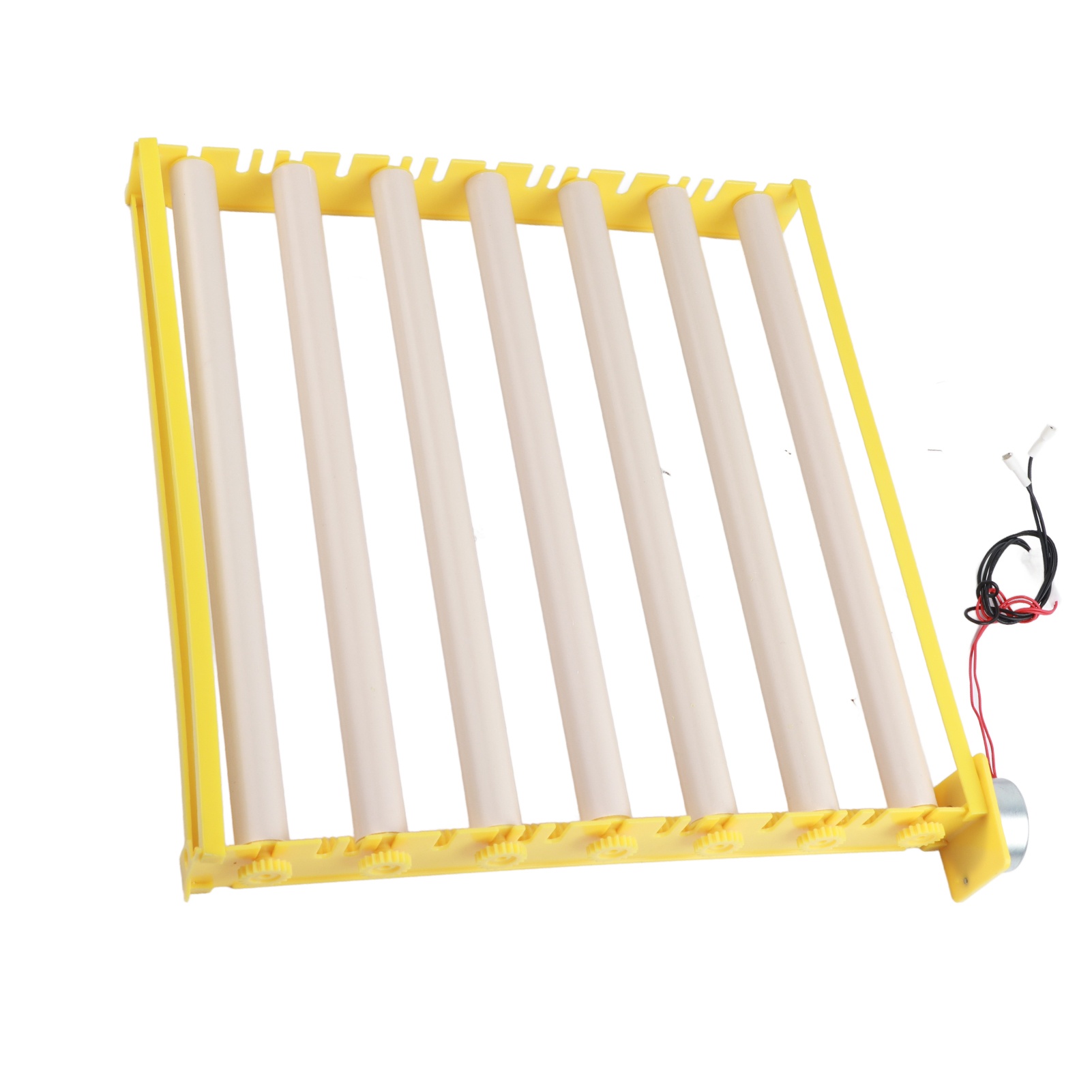Plateau d'incubation d'œufs en - Quail Egg Incubator avis et prix