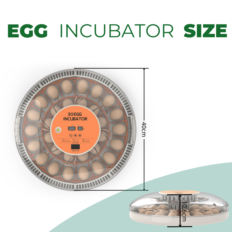 Incubateur d'œufs STLF30 pour  - Quail Egg Incubator avis et prix