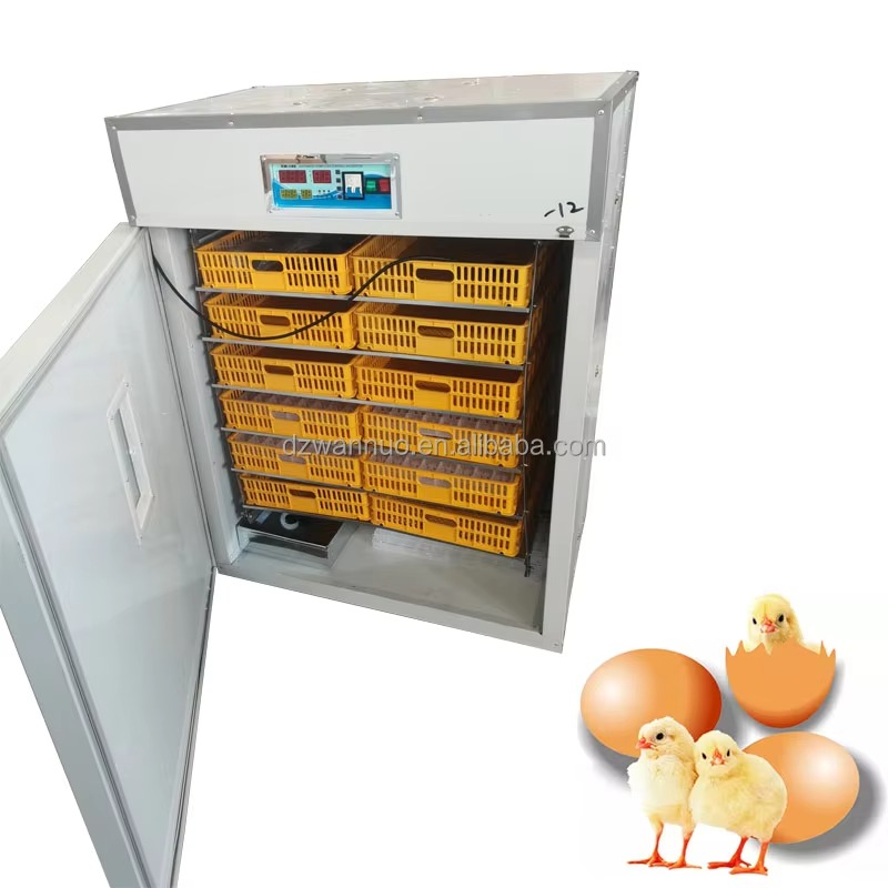 Incubateur d'œufs industriel e - Quail Egg Incubator avis et prix