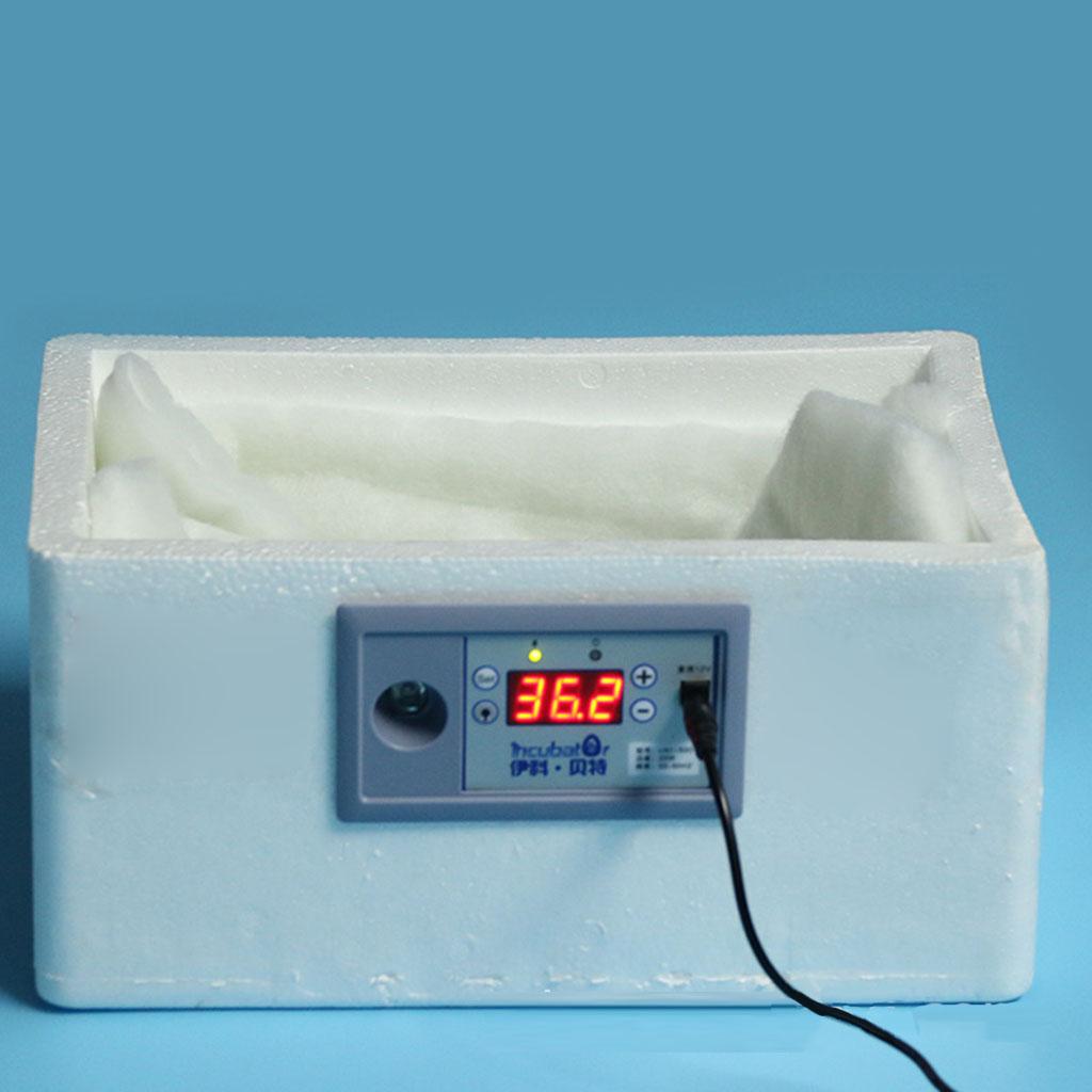 Incubateur automatique d'œufs  - Quail Egg Incubator avis et prix