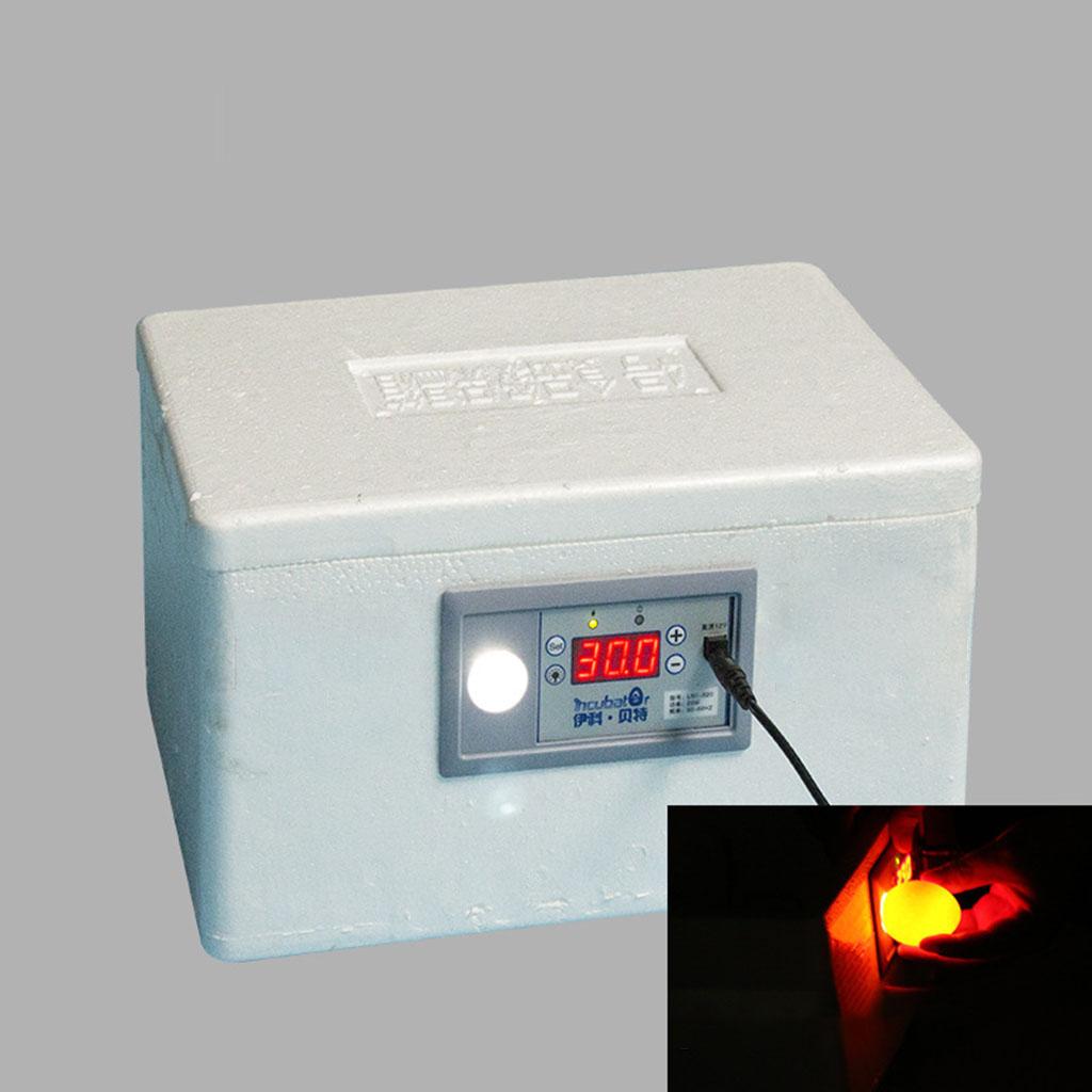 Incubateur automatique d'œufs  - Quail Egg Incubator avis et prix