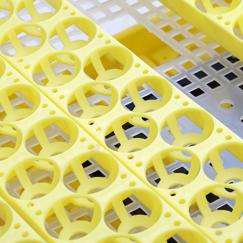 Incubateur automatique pour po - Quail Egg Incubator avis et prix