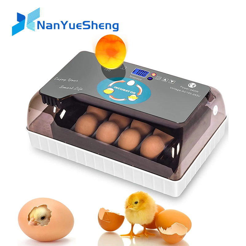 HHD automatique meilleure mach - Quail Egg Incubator avis et prix