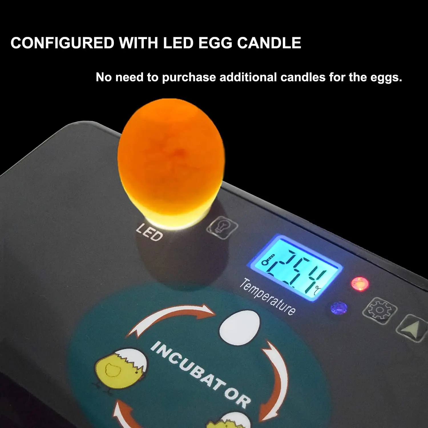 HHD automatique meilleure mach - Quail Egg Incubator avis et prix