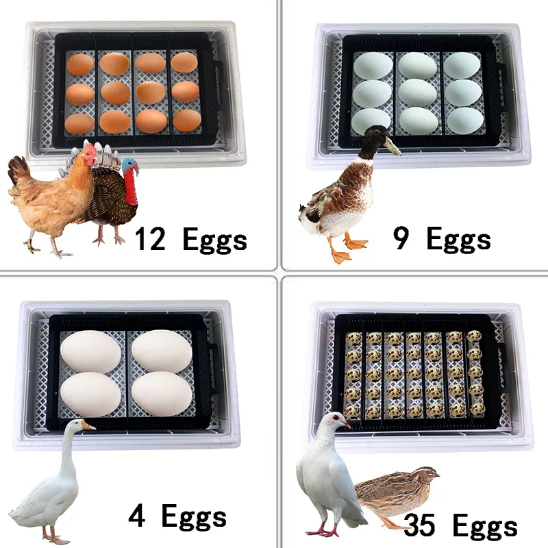 HHD automatique meilleure mach - Quail Egg Incubator avis et prix