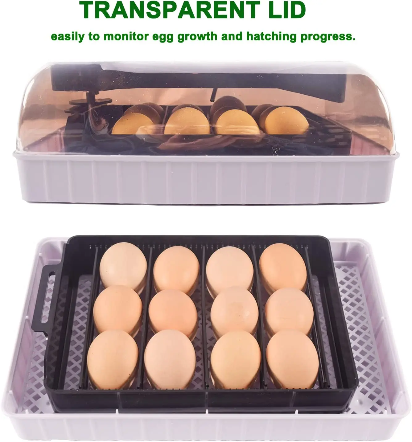 HHD automatique meilleure mach - Quail Egg Incubator avis et prix