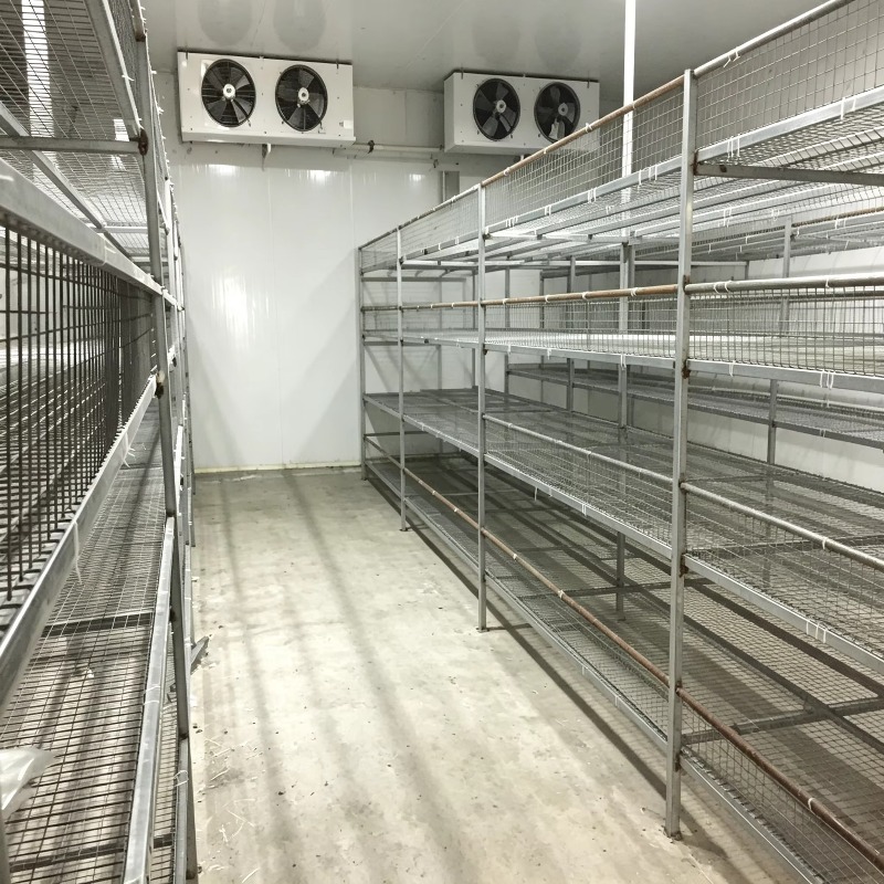 Ferme hydroponique en conteneu - Farming Agriculture Project avis et prix