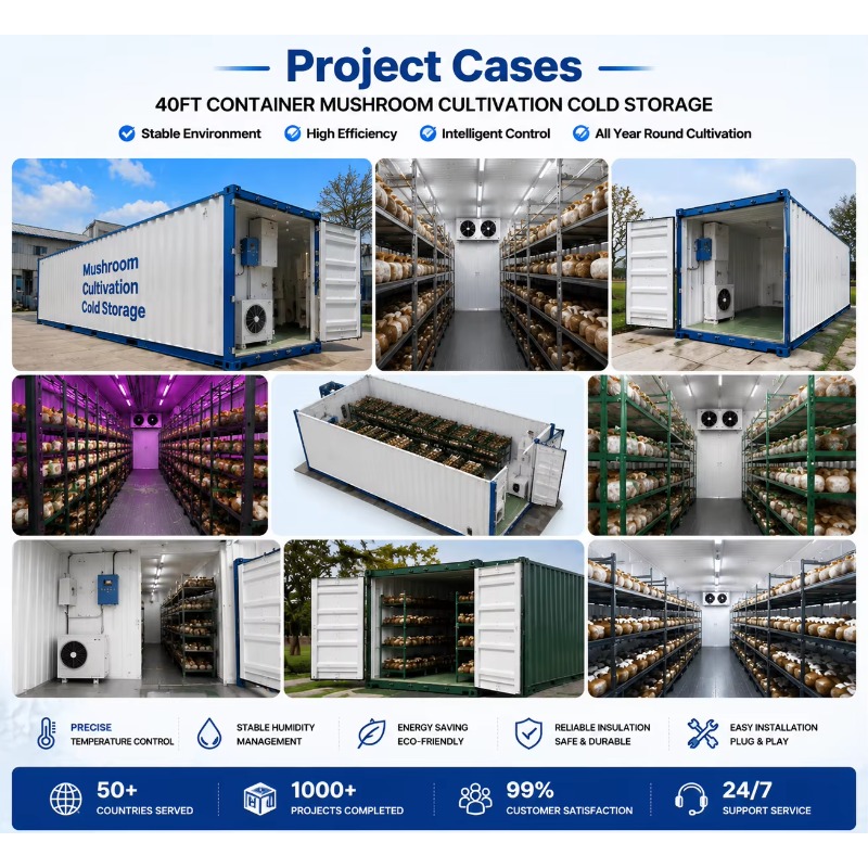 Ferme hydroponique en conteneu - Farming Agriculture Project avis et prix
