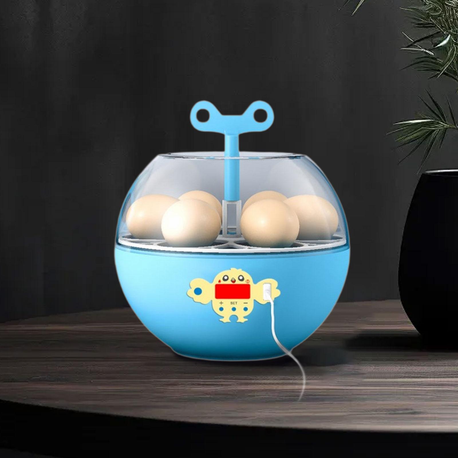 Incubateur à 6 œufs, mini incu - Quail Egg Incubator avis et prix