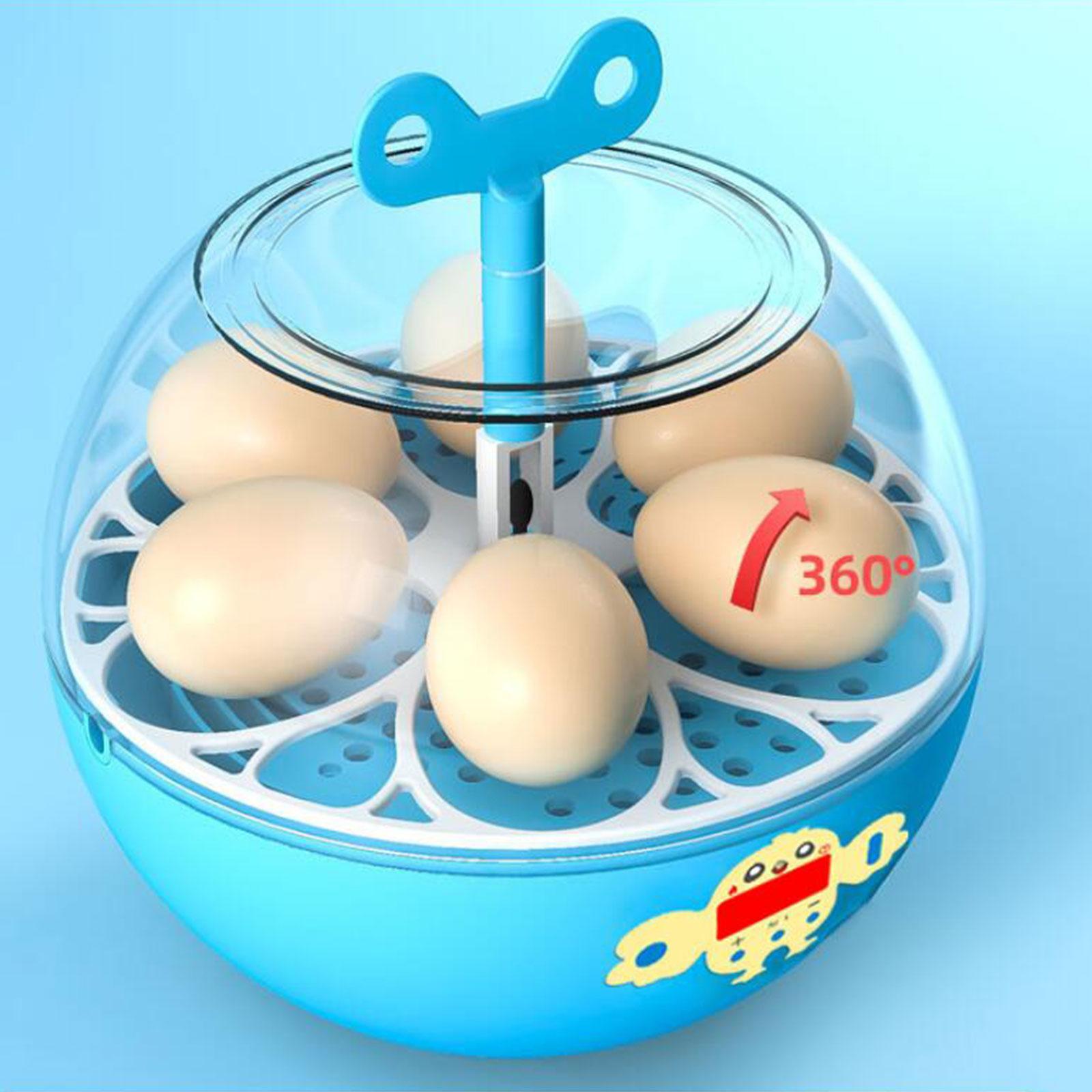 Incubateur à 6 œufs, mini incu - Quail Egg Incubator avis et prix