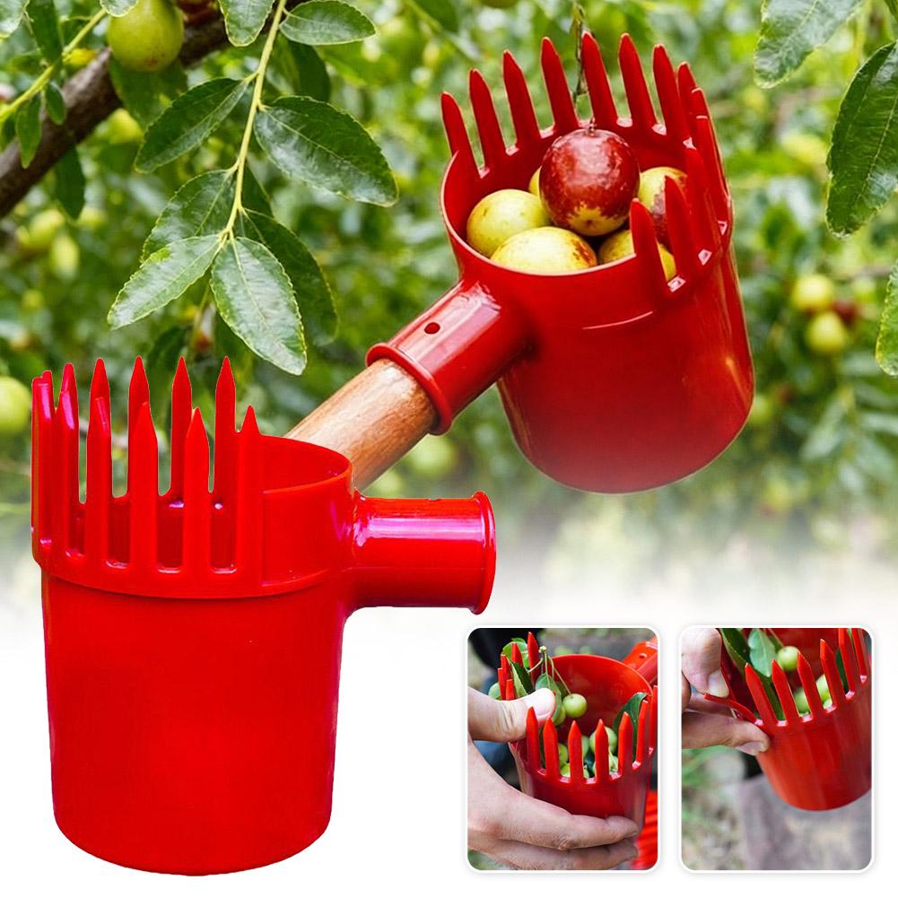 Outil de cueillette de fruits  - Agriculture Farming Tool avis et prix