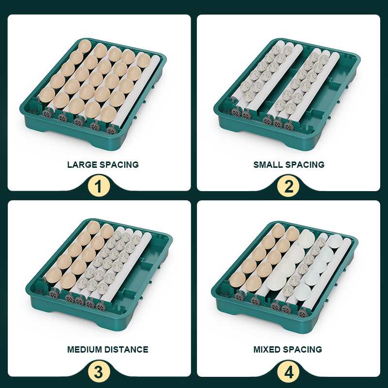 Incubateur d'œufs entièrement  - Quail Egg Incubator avis et prix