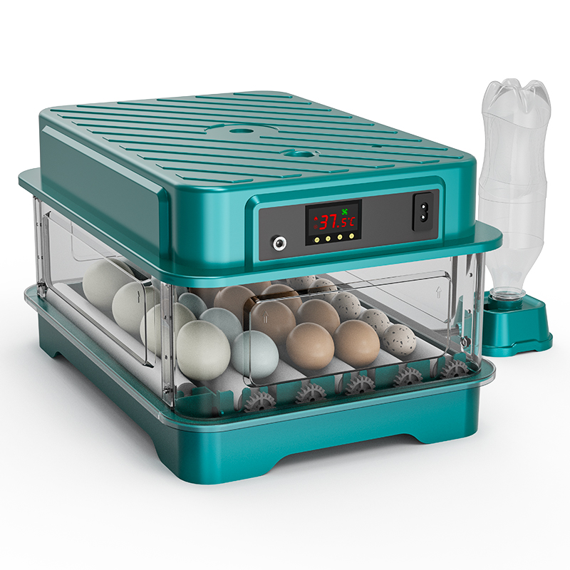Incubateur d'œufs entièrement  - Quail Egg Incubator avis et prix
