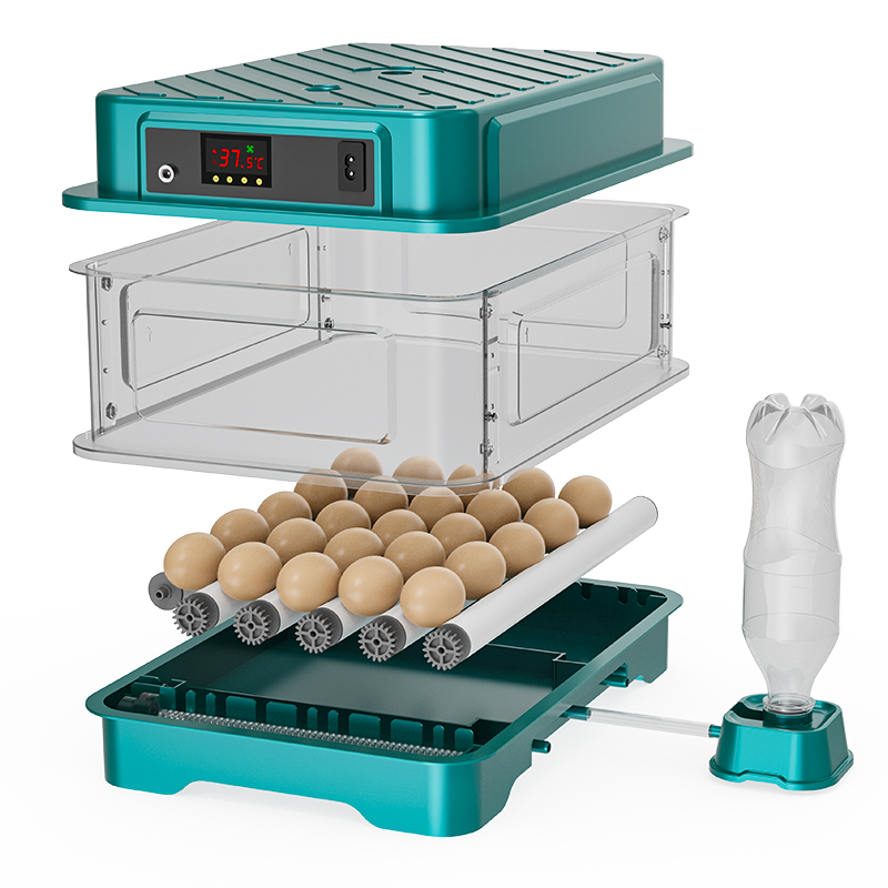 Incubateur d'œufs entièrement  - Quail Egg Incubator avis et prix
