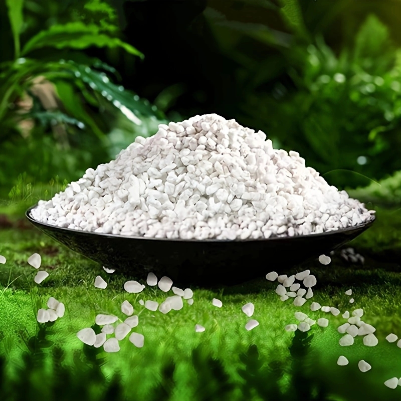 1 paquet de perlite horticole  - Horticulture Soil Perlite avis et prix