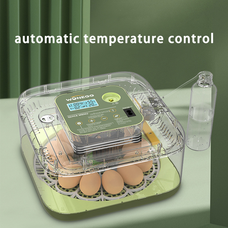 Nouveau 12 oeufs de poussin co - Quail Egg Incubator avis et prix