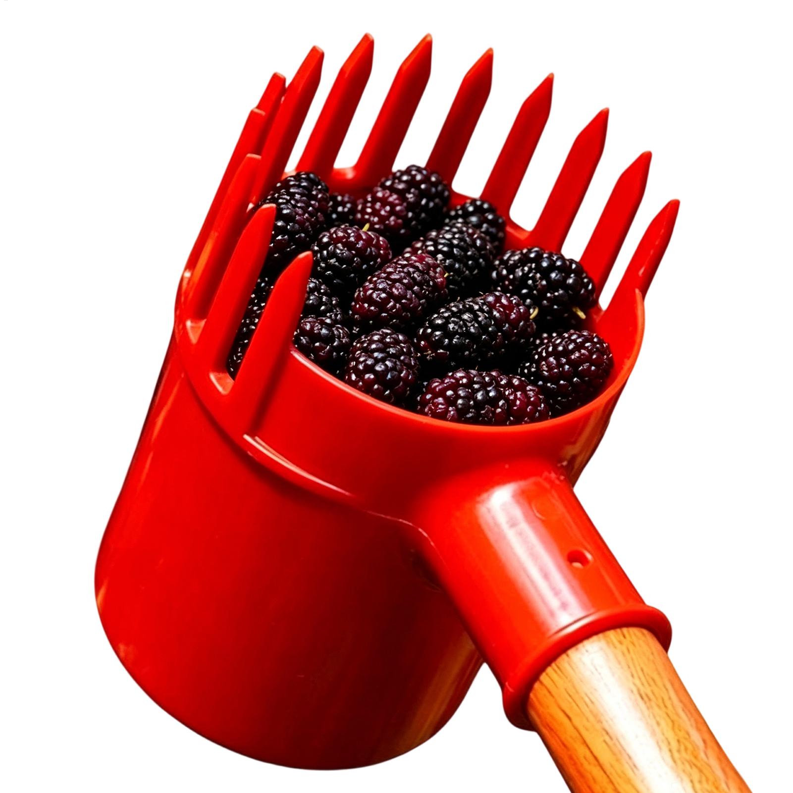 Cueilleur de baies portable po - Agriculture Farming Tool avis et prix