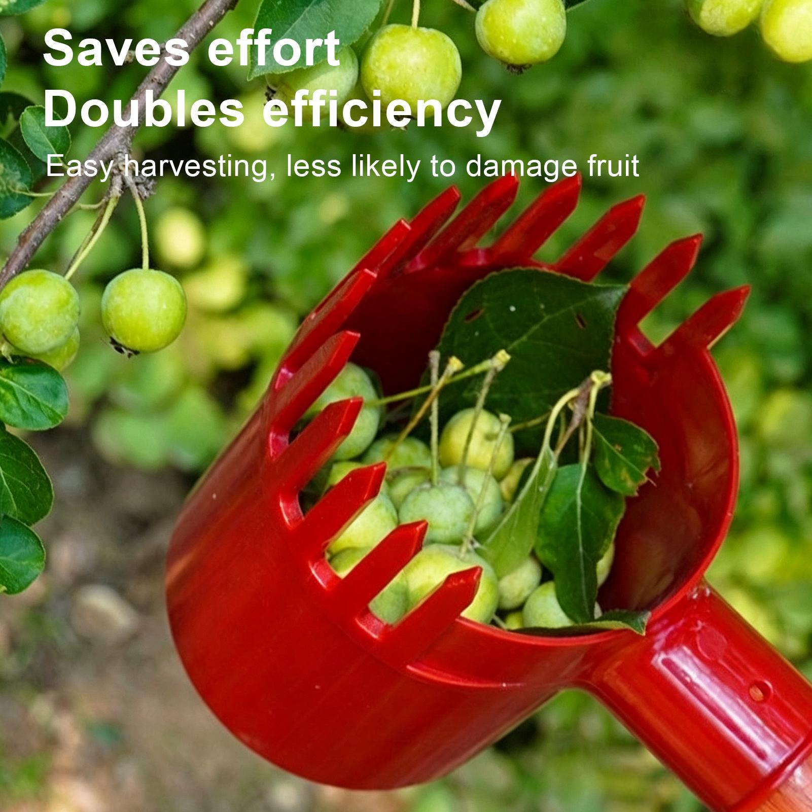 Cueilleur de baies portable po - Agriculture Farming Tool avis et prix