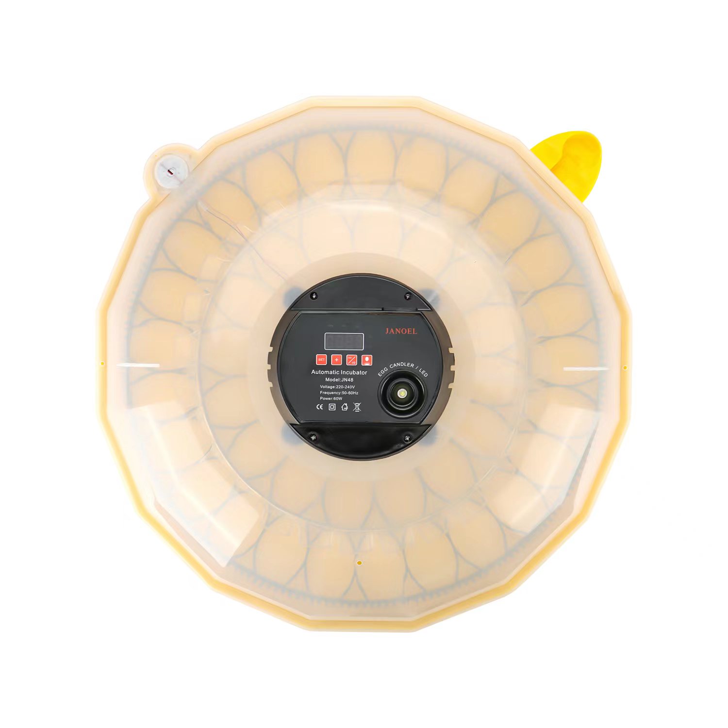 Mini incubateur à œufs avec un - Quail Egg Incubator avis et prix