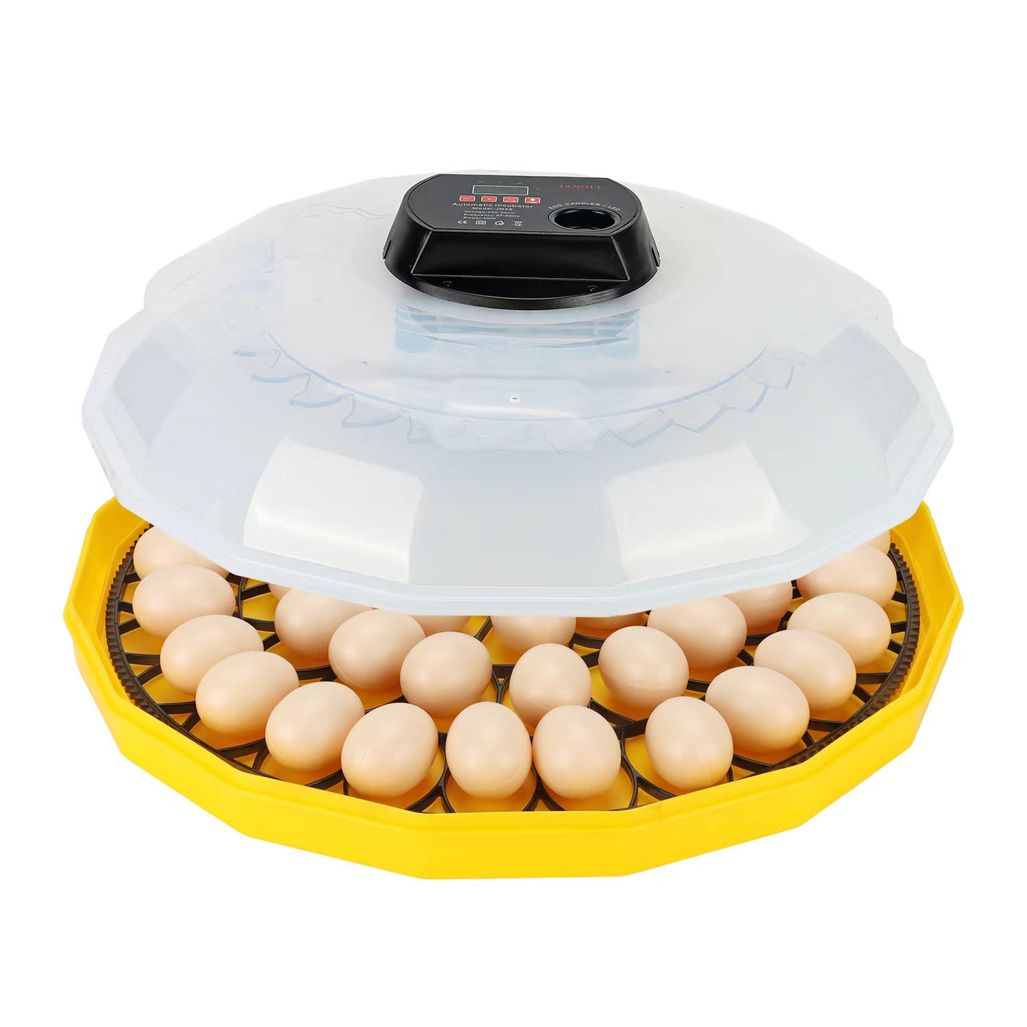 Mini incubateur à œufs avec un - Quail Egg Incubator avis et prix