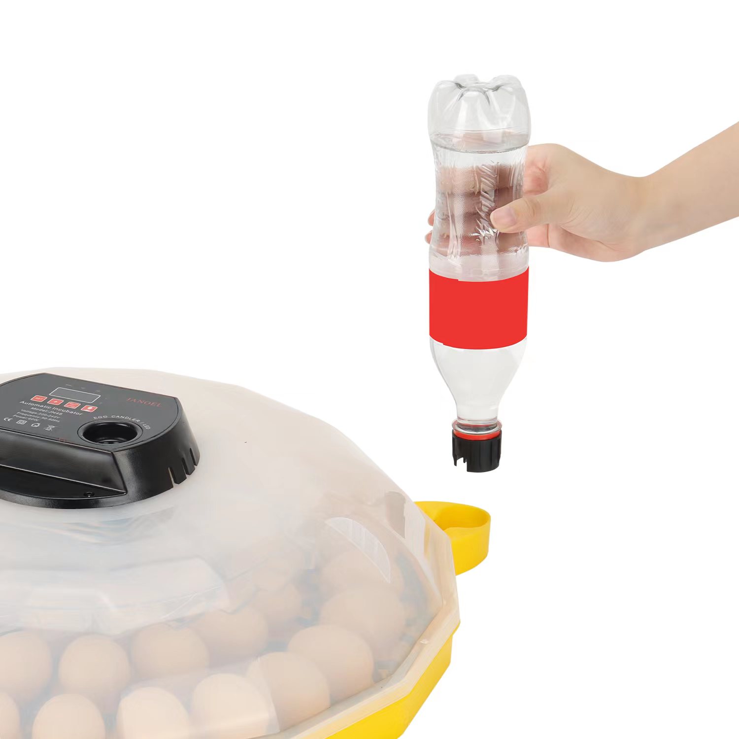 Mini incubateur à œufs avec un - Quail Egg Incubator avis et prix