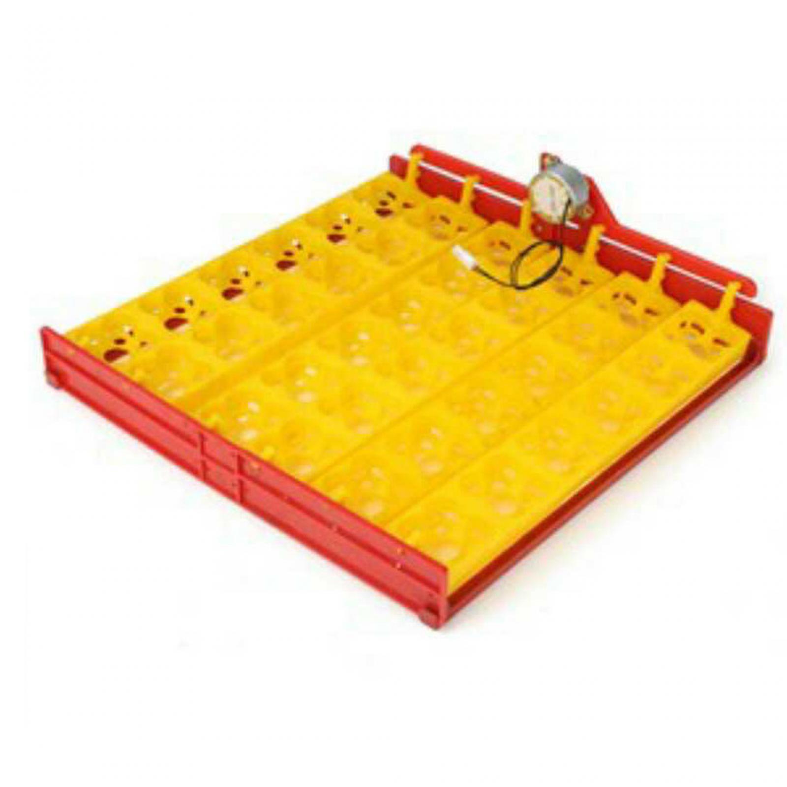 Plateau d'incubation d'œufs en - Quail Egg Incubator avis et prix