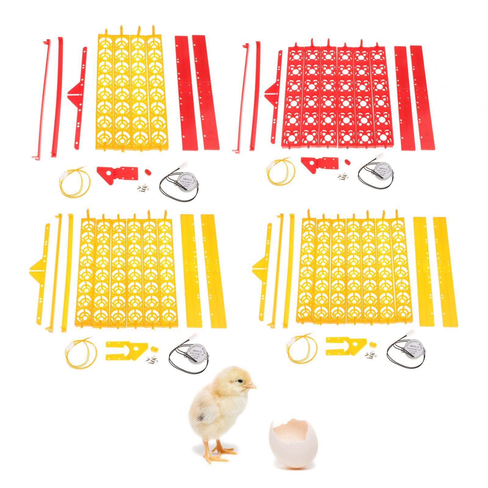 Plateau d'incubation d'œufs en - Quail Egg Incubator avis et prix